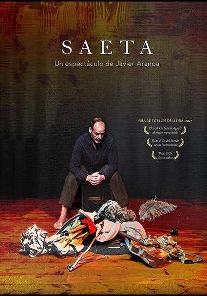 Imagen SAETA