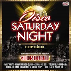 Imagen SATURDAY NIGHT DISCO